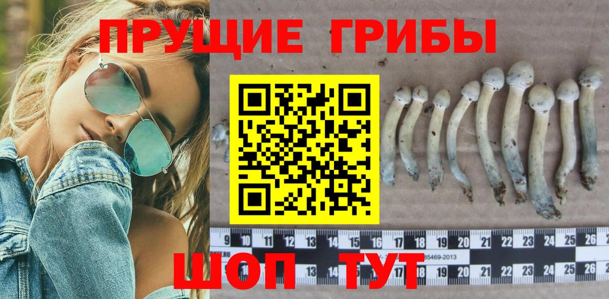 Псилоцибиновые грибы Magic Shrooms Саяногорск