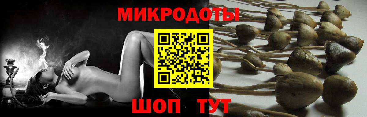Саяногорск  Псилоцибиновые грибы ЛСД  Вход с VPN  Галлюциногенные грибы мухоморы 